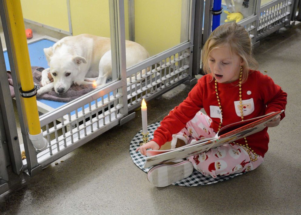 shelter-dog-reading-02-ht-jef-191211_hpEmbed_7x5_992.jpg