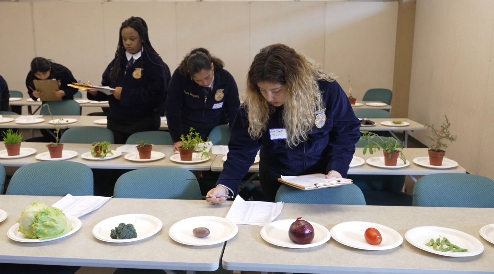 Allan Hancock FFA Field Day