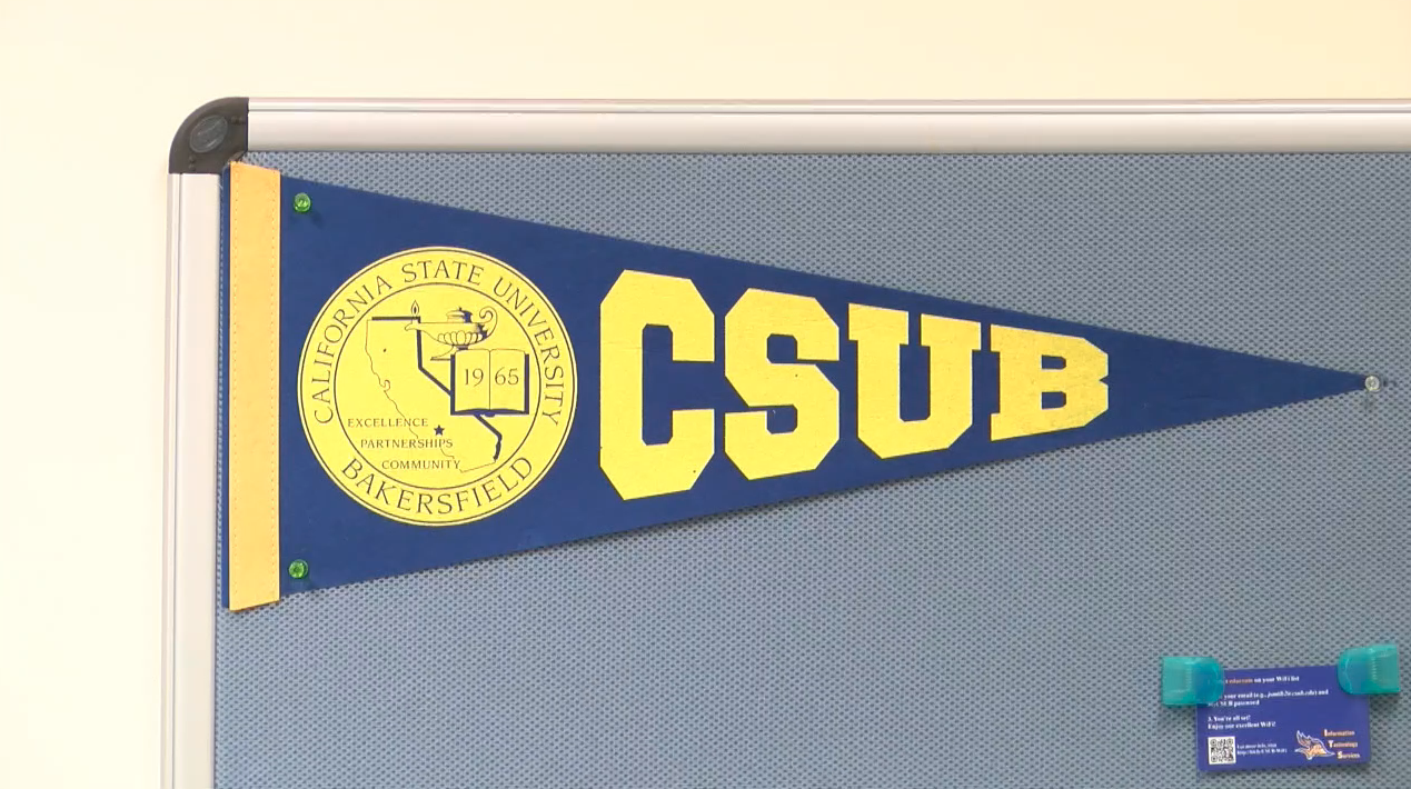 CSUB (FILE)