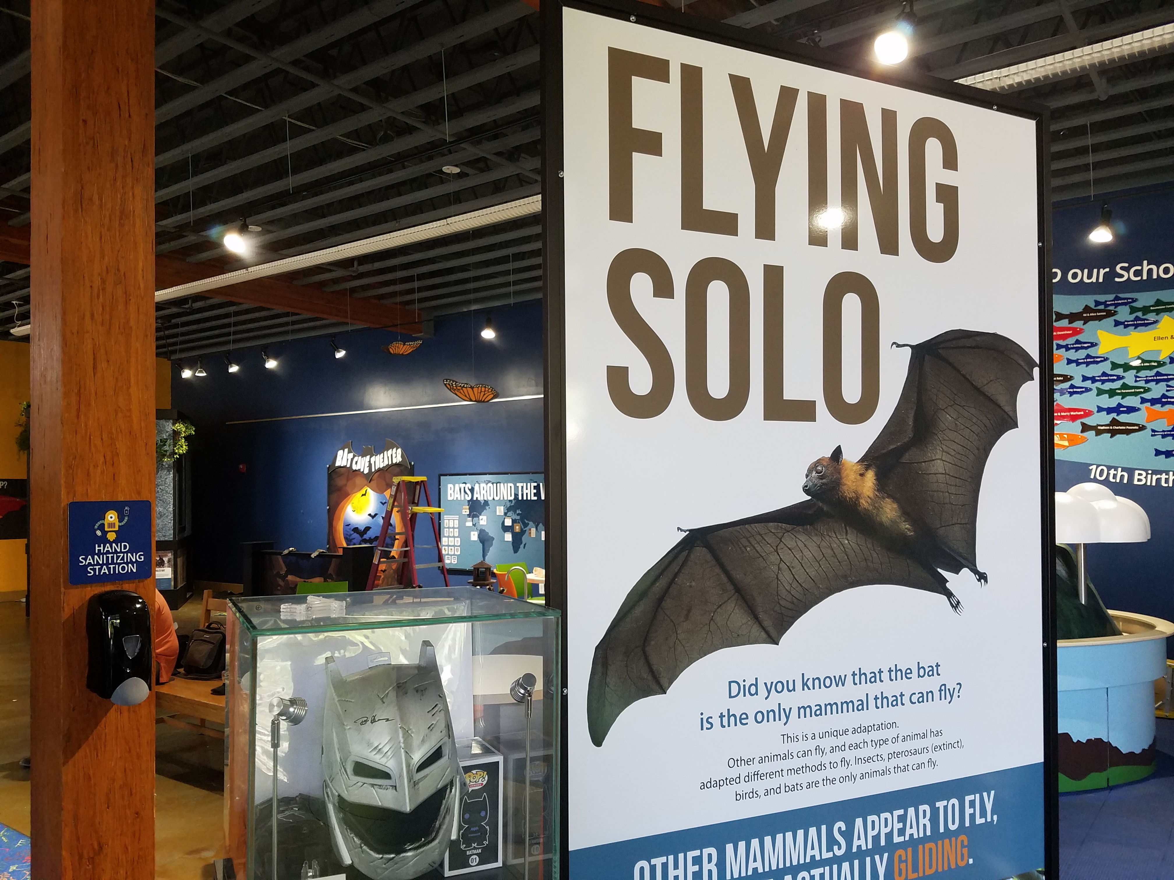 Soar with Bats