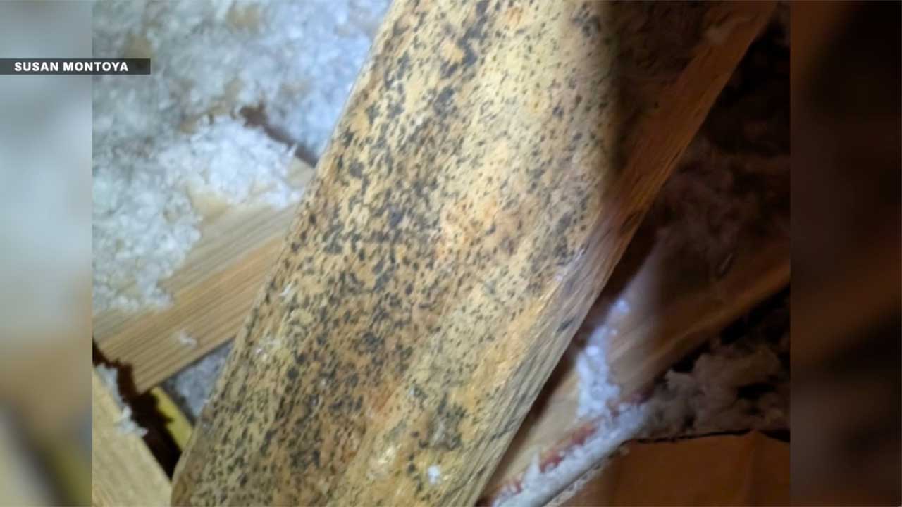 Port St. Lucie homeowner says discovery in attic cost her a buyer