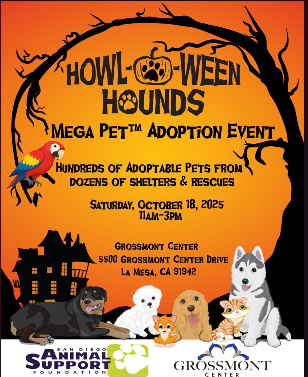 Howl-o-Ween Hounds.jpg