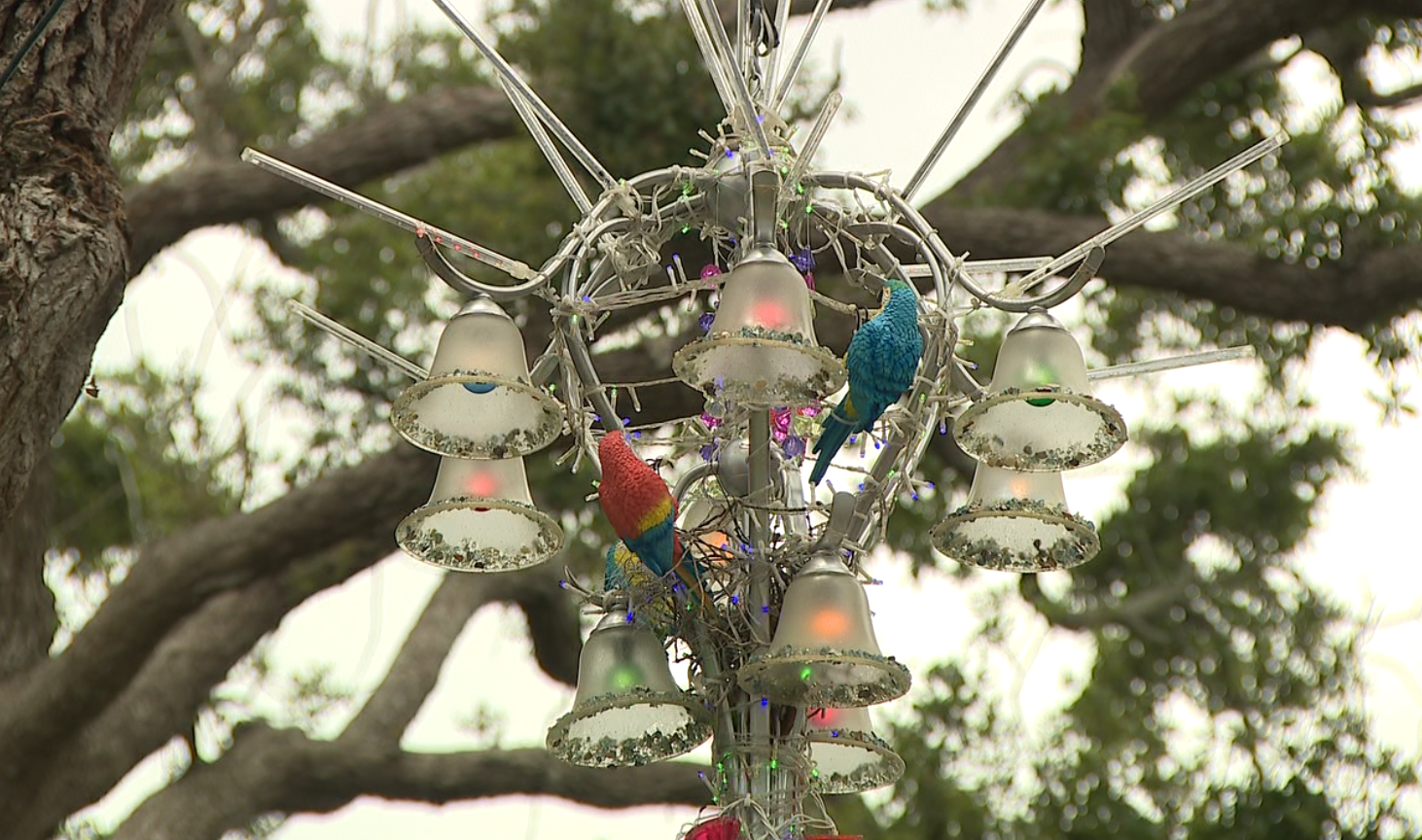 Chandeliers of Dunedin 