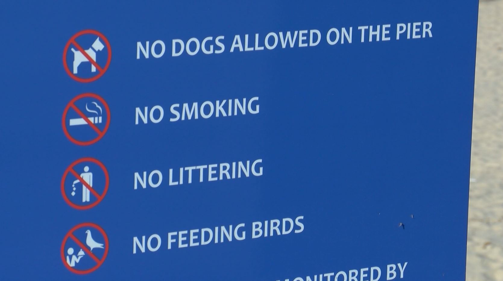 pismo beach regulations.JPG