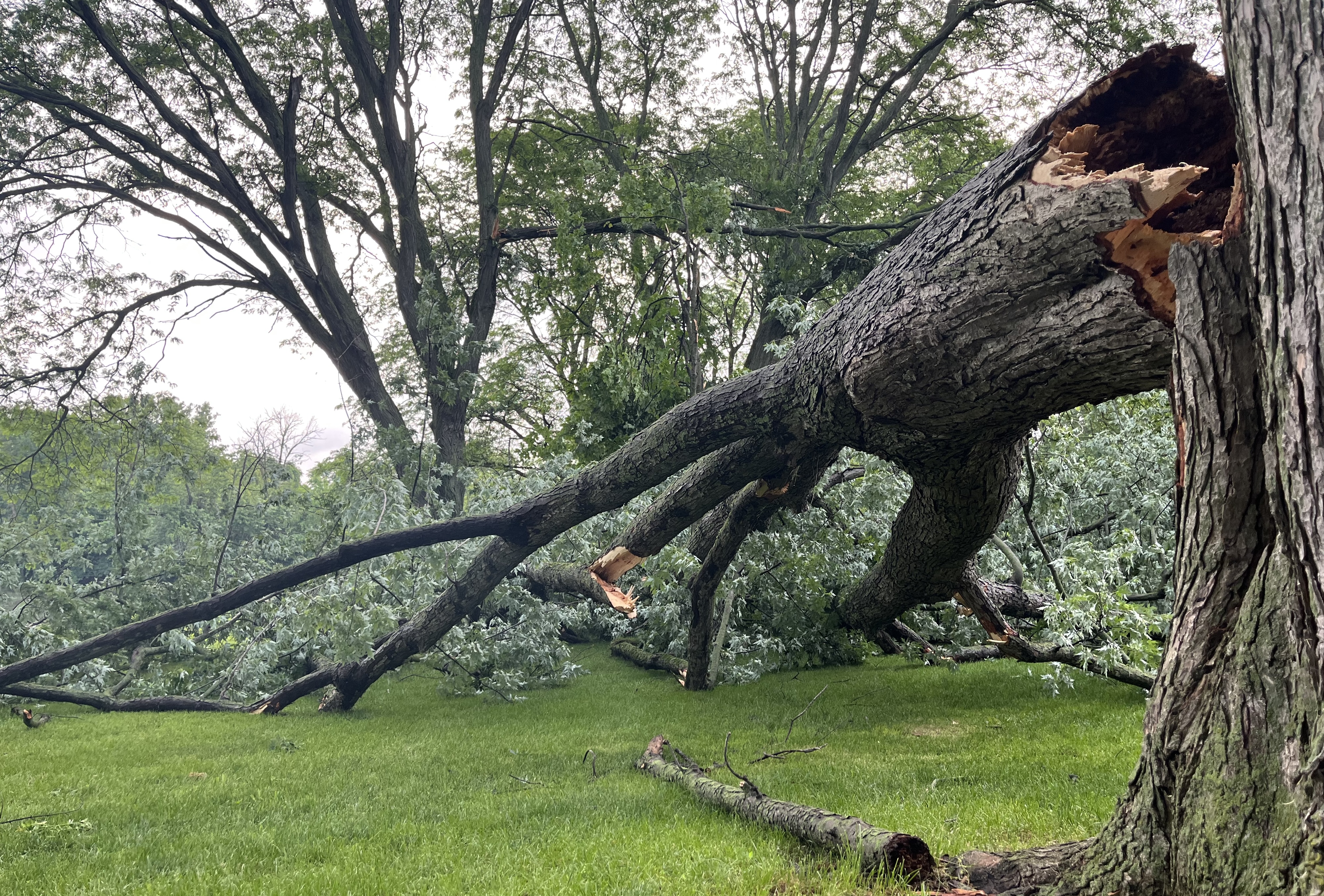 RIVERSIDE PARK STORM DAMAGE