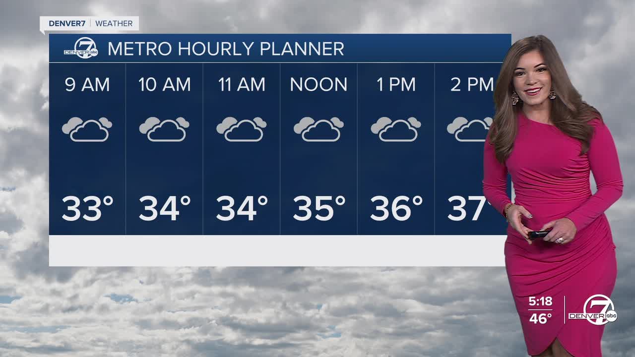 Denver Metro Hourly Planner for Friday