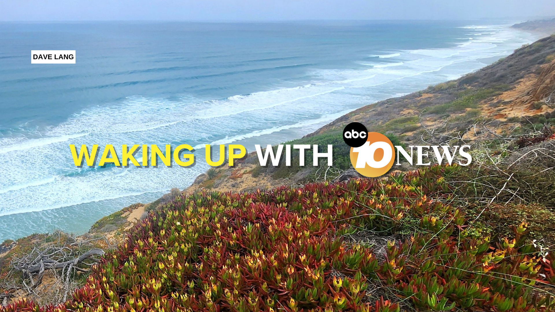 newsletter_dave_lang_torrey_pines_062125.png