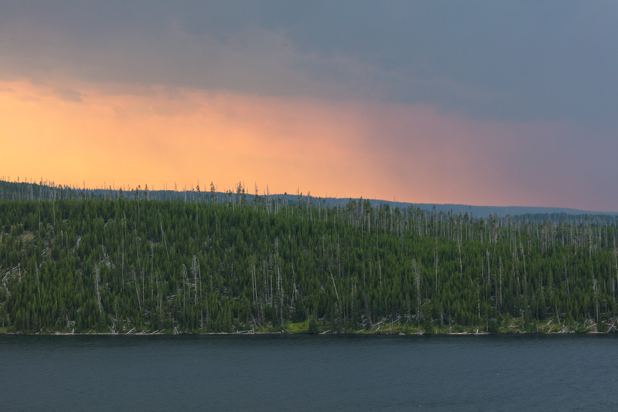 Search efforts scaled back for man missing in Yellowstone NP - Vimarsana News