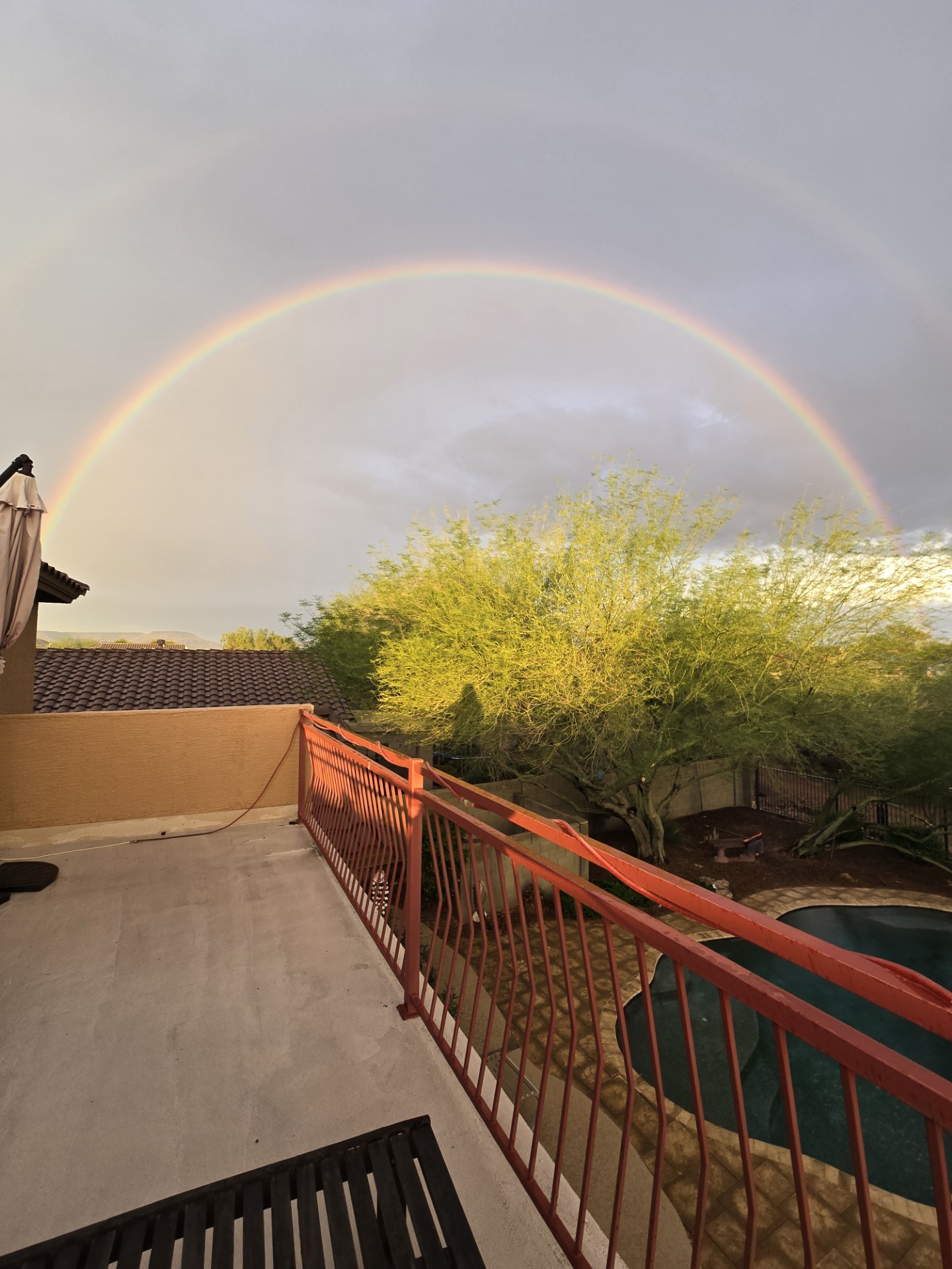 michelle cleugh anthem rainbow .jpg