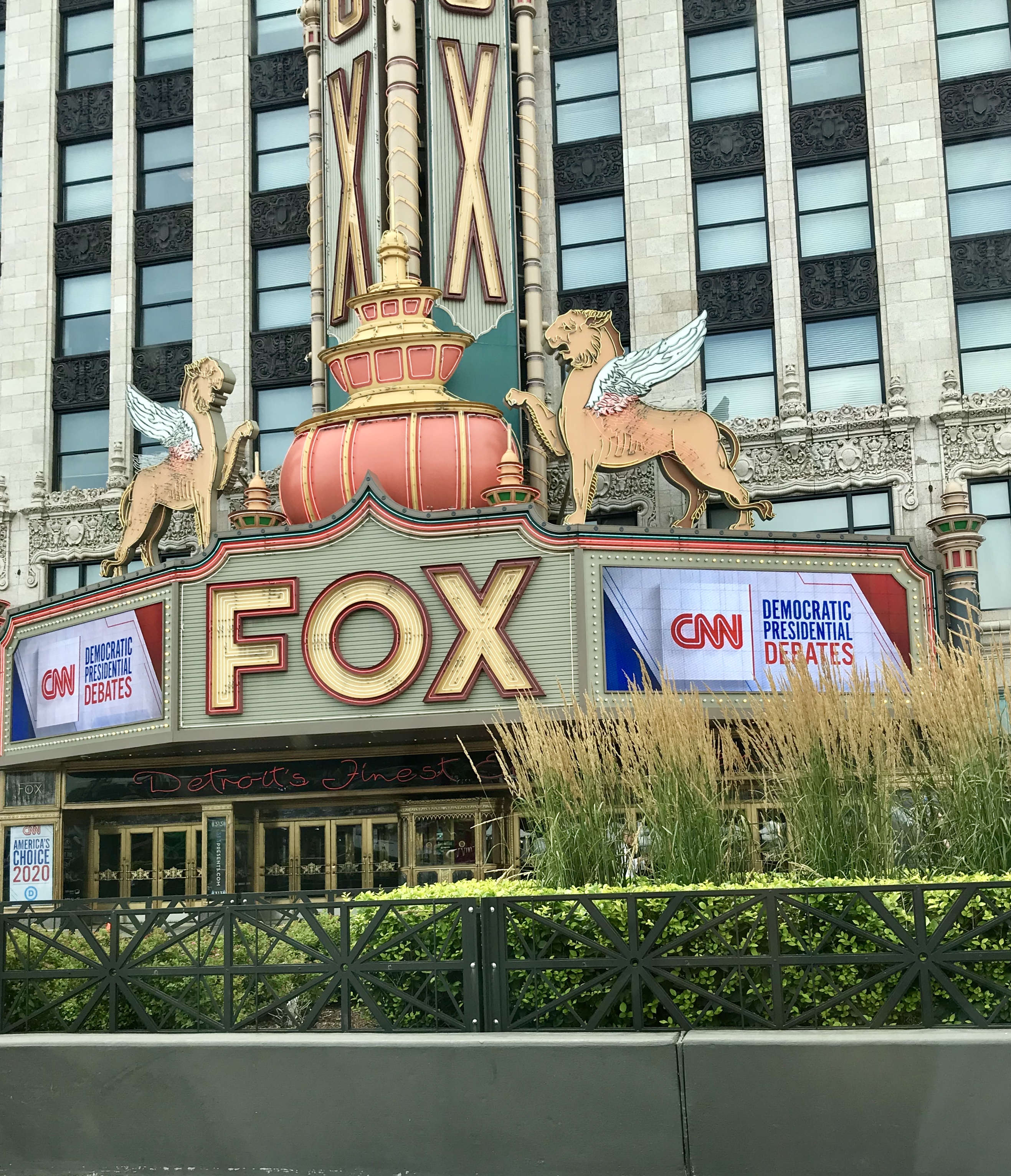 Fox.jpg