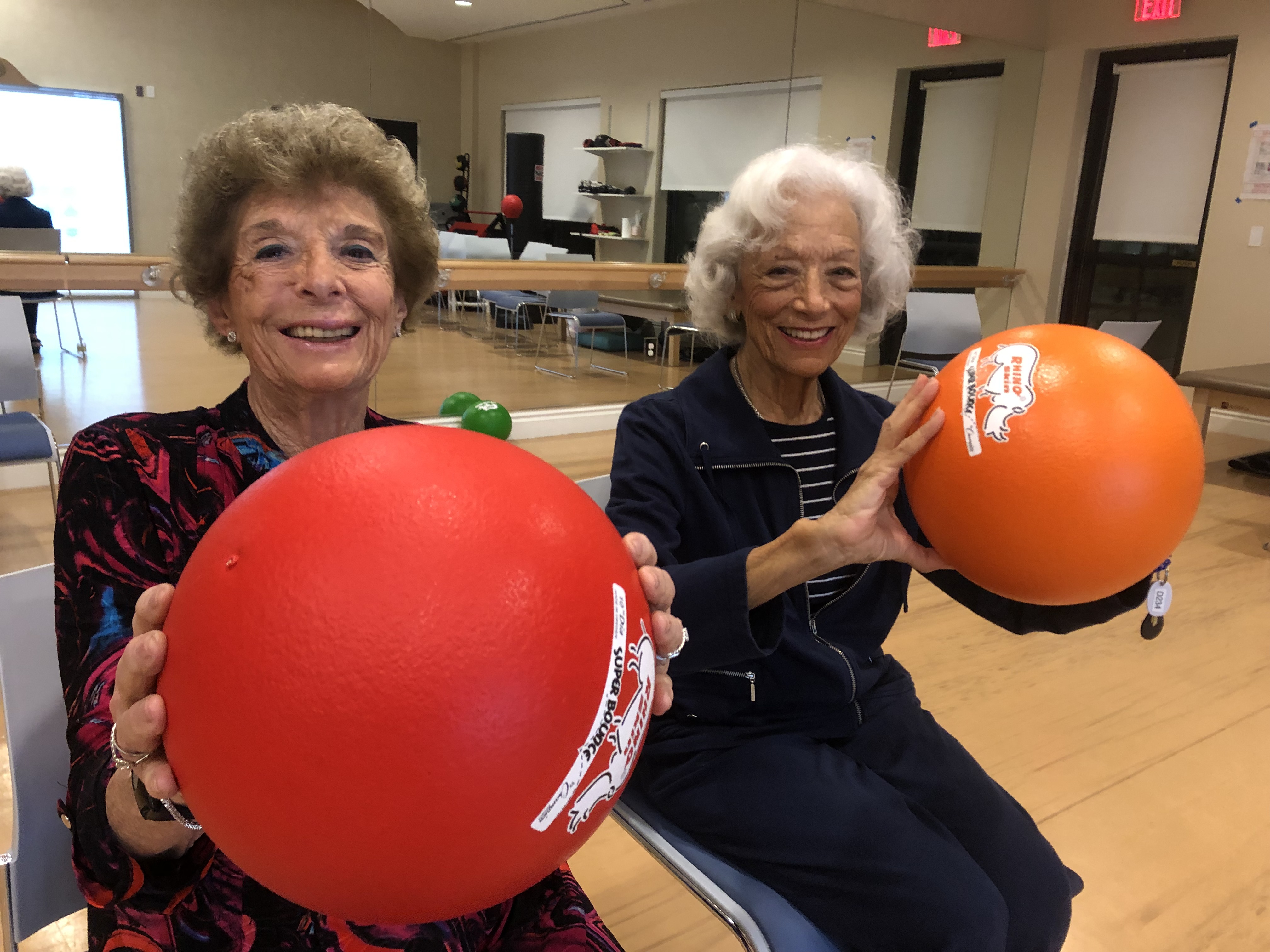 Elly and Mickie show off their "exergaming."  That's a mixture of gaming, exercise and mental stimulation.