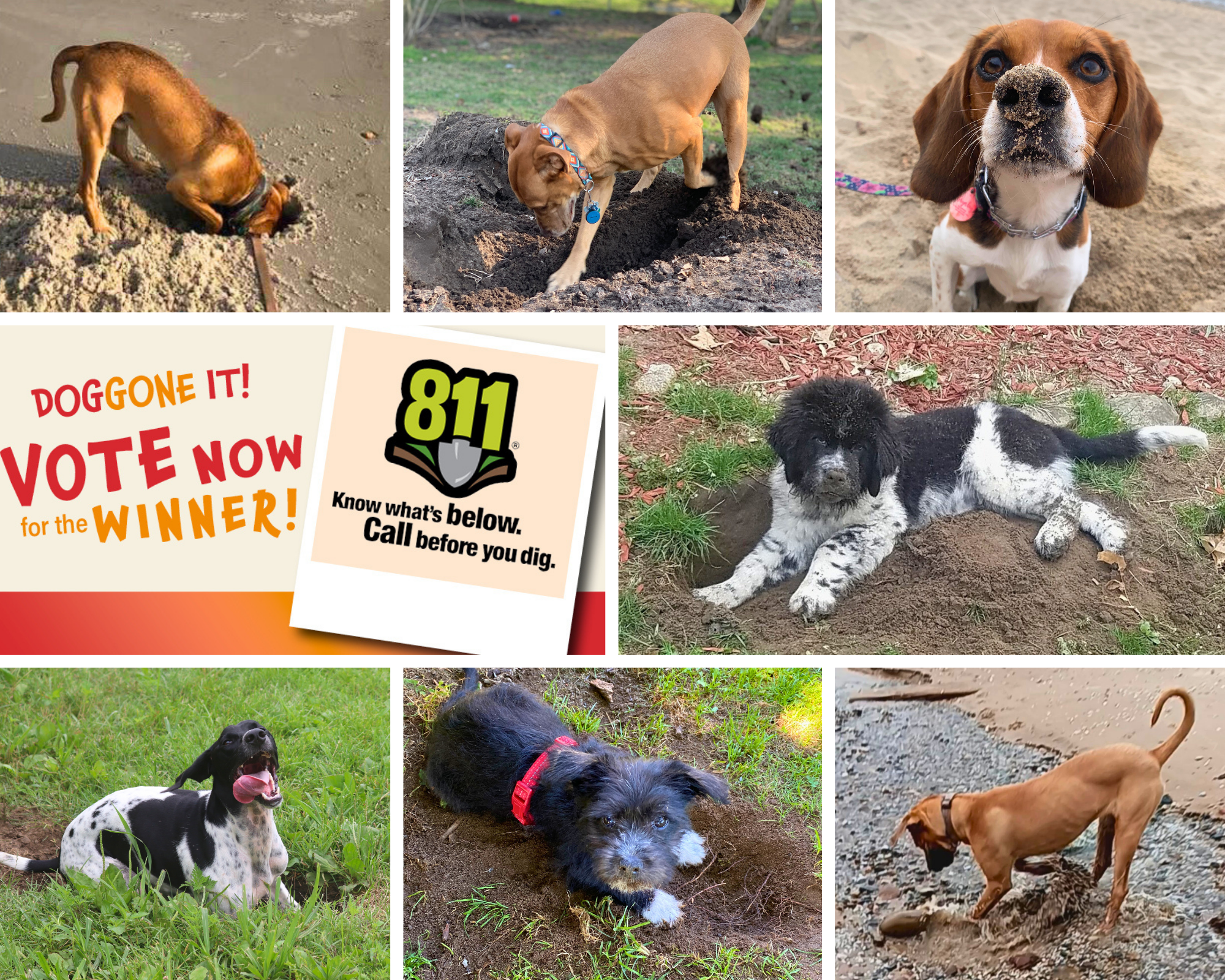 2023 MGU Doggone It contest finalists.png