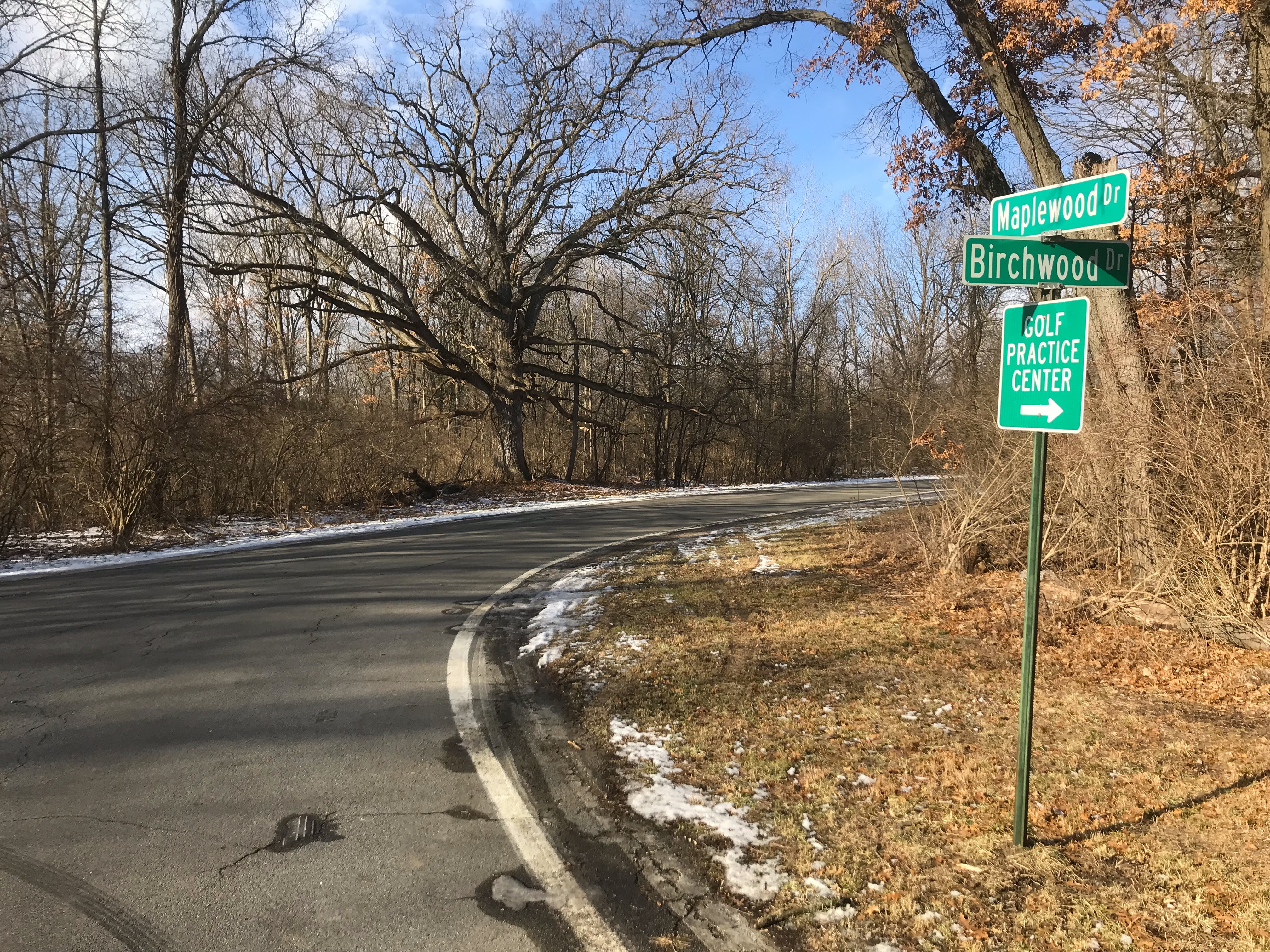 Corner of Maplewood and Birchwood.jpg
