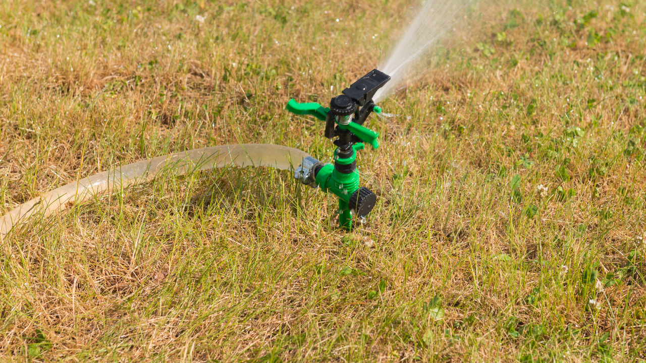 Lawn Sprinkler