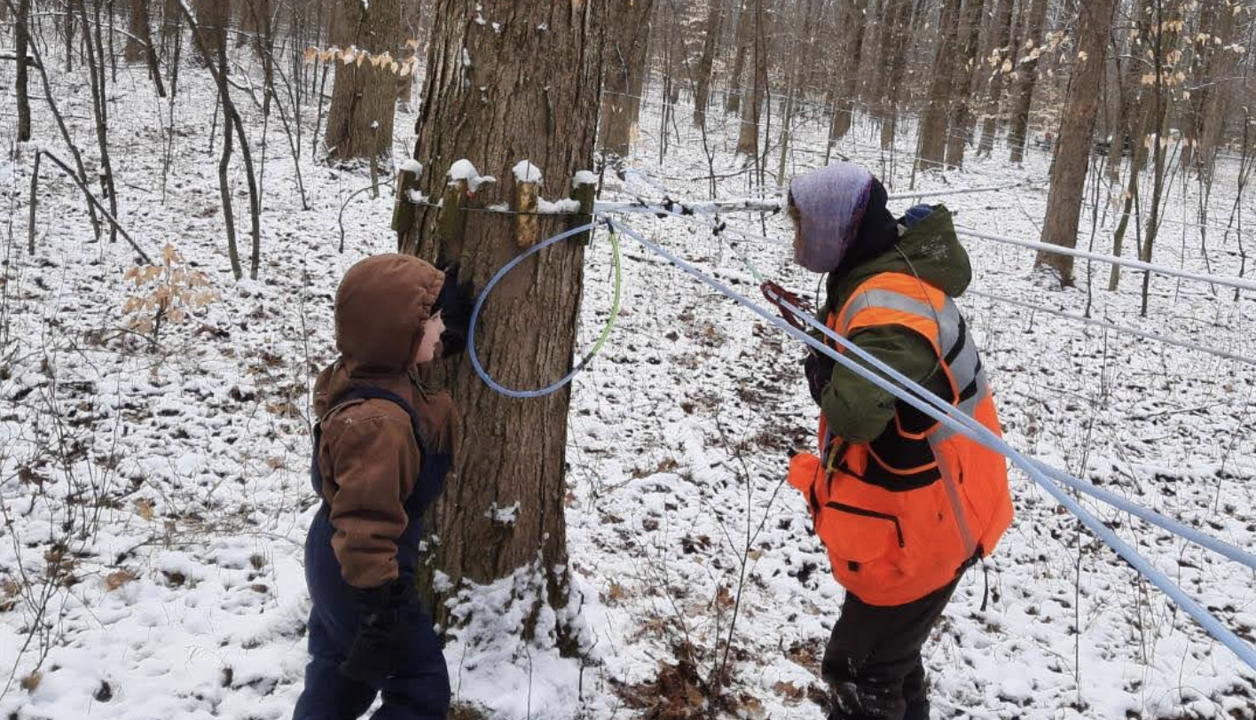 Maple Row Sugarhouse
