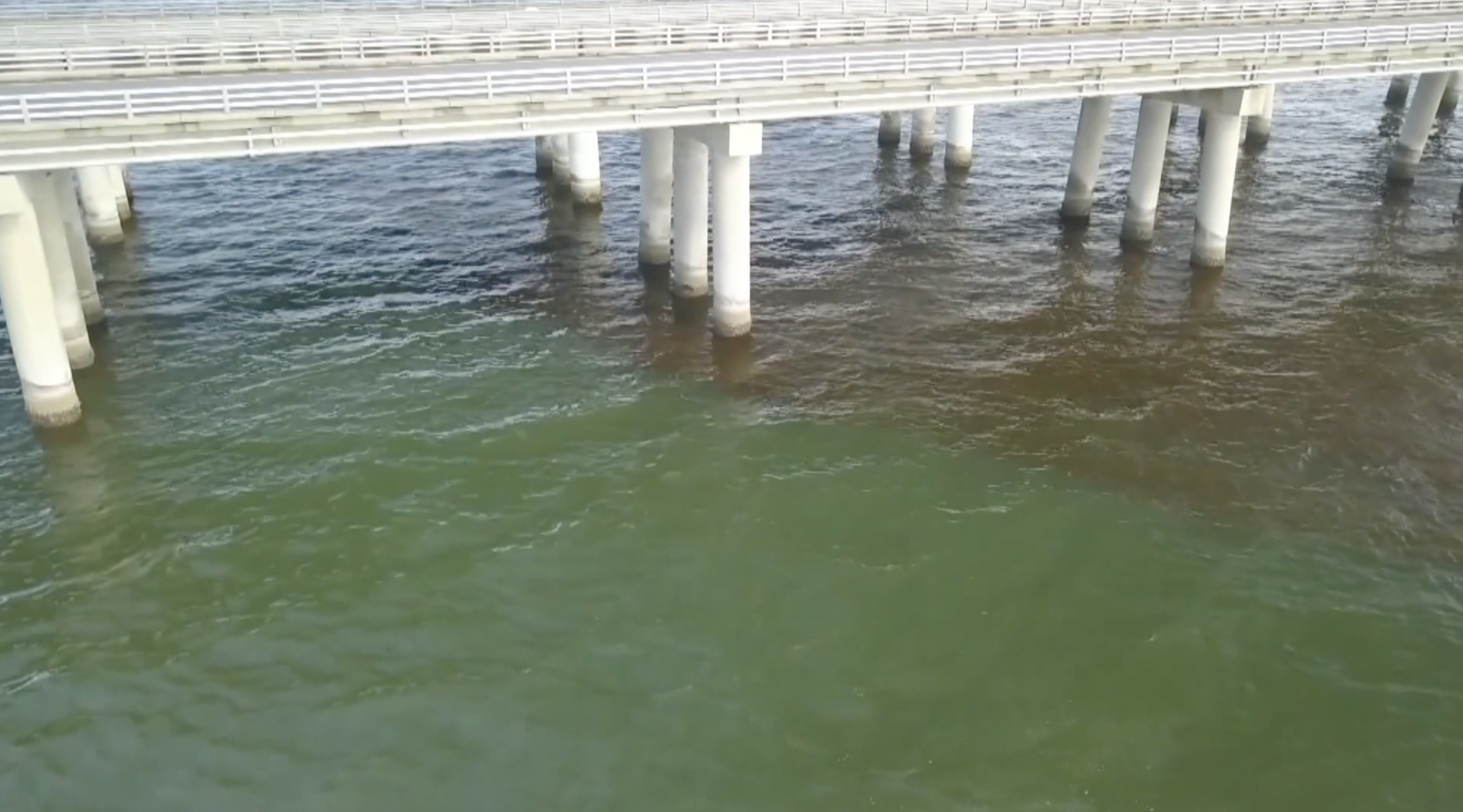 Coastal VA environmental concerns