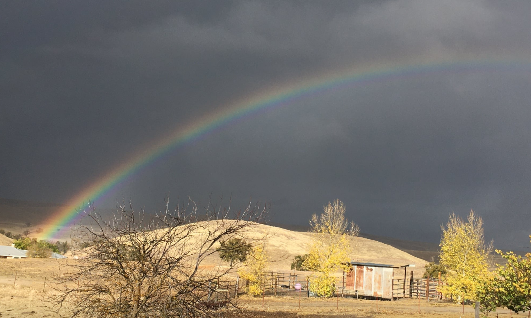 peggy graves martin 120619.PNG