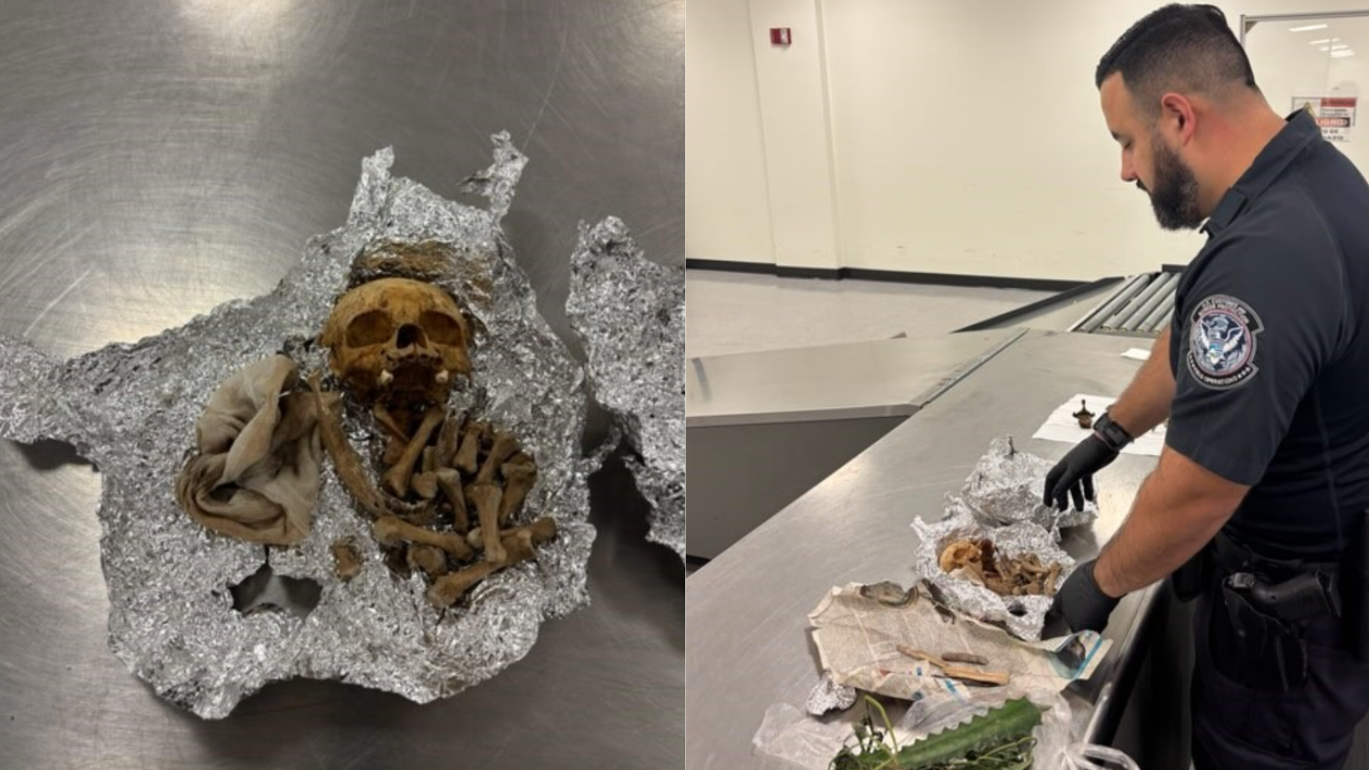 TSA Human remains 