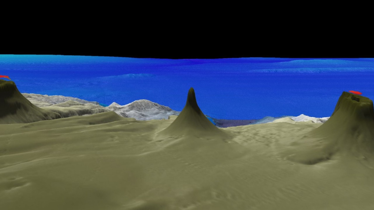 Newly discovered coral reef is taller than the Empire State Building, scientists say