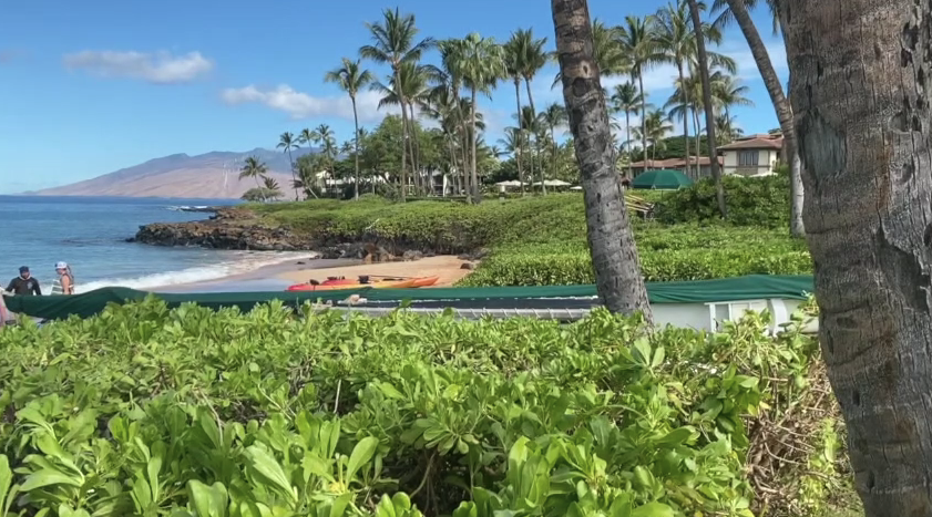 beauty shot on Maui