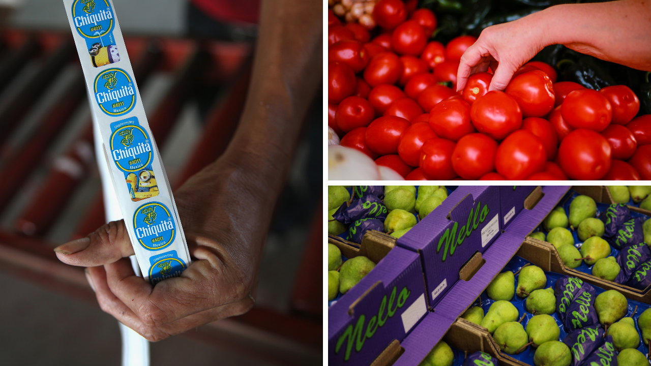 Chiquita Brands International, Tomatoes and Pears