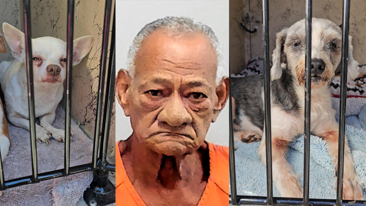 Alberto Nunez-Arias, suspect with dogs