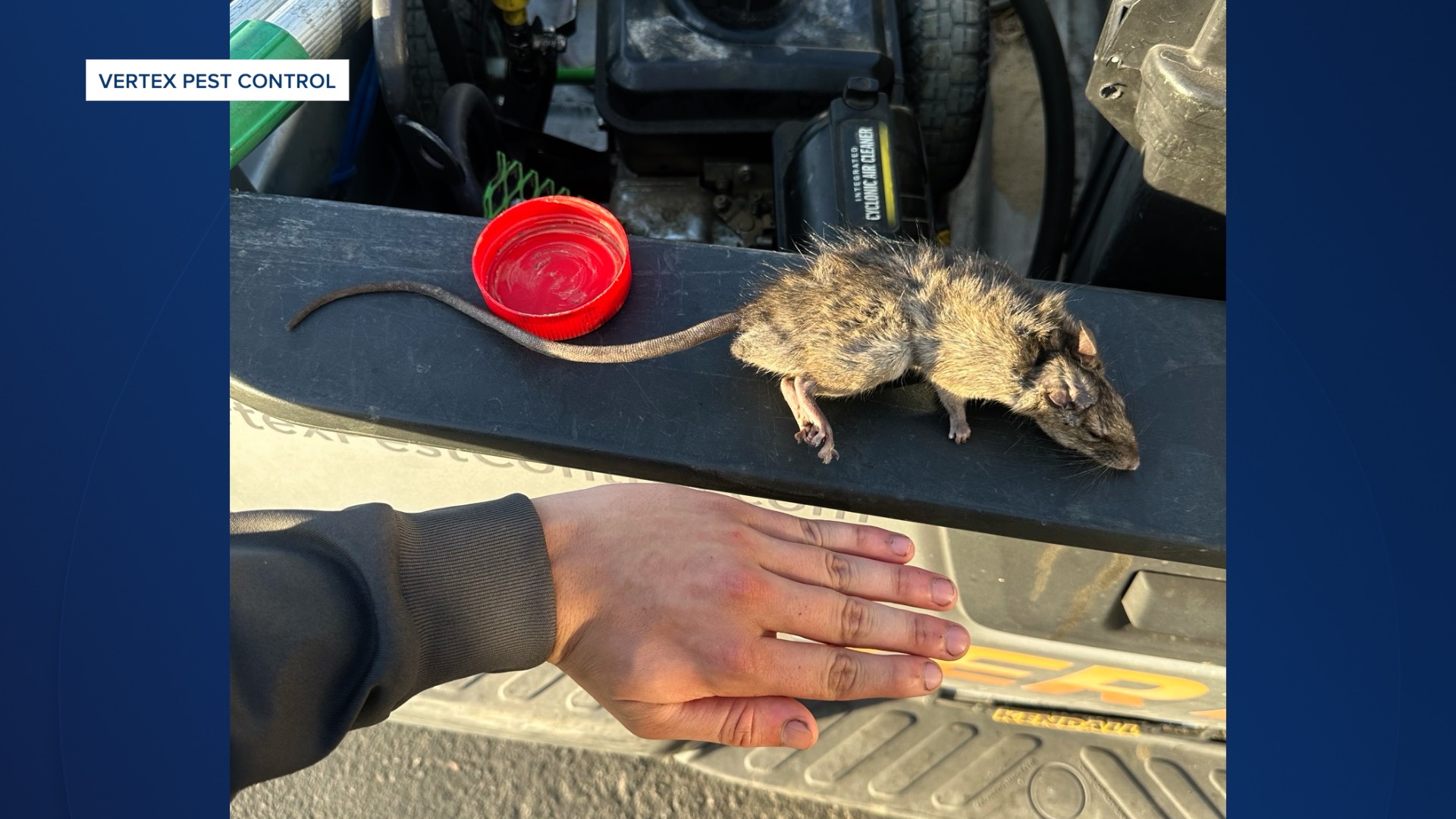 RAT PATROL thumbnail.jpg