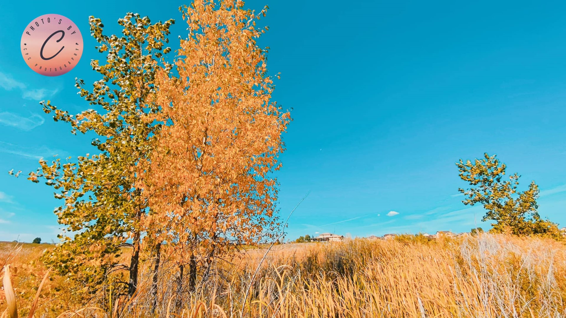 Fall in Falcon