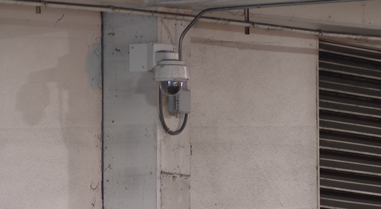 Norfolk cameras 