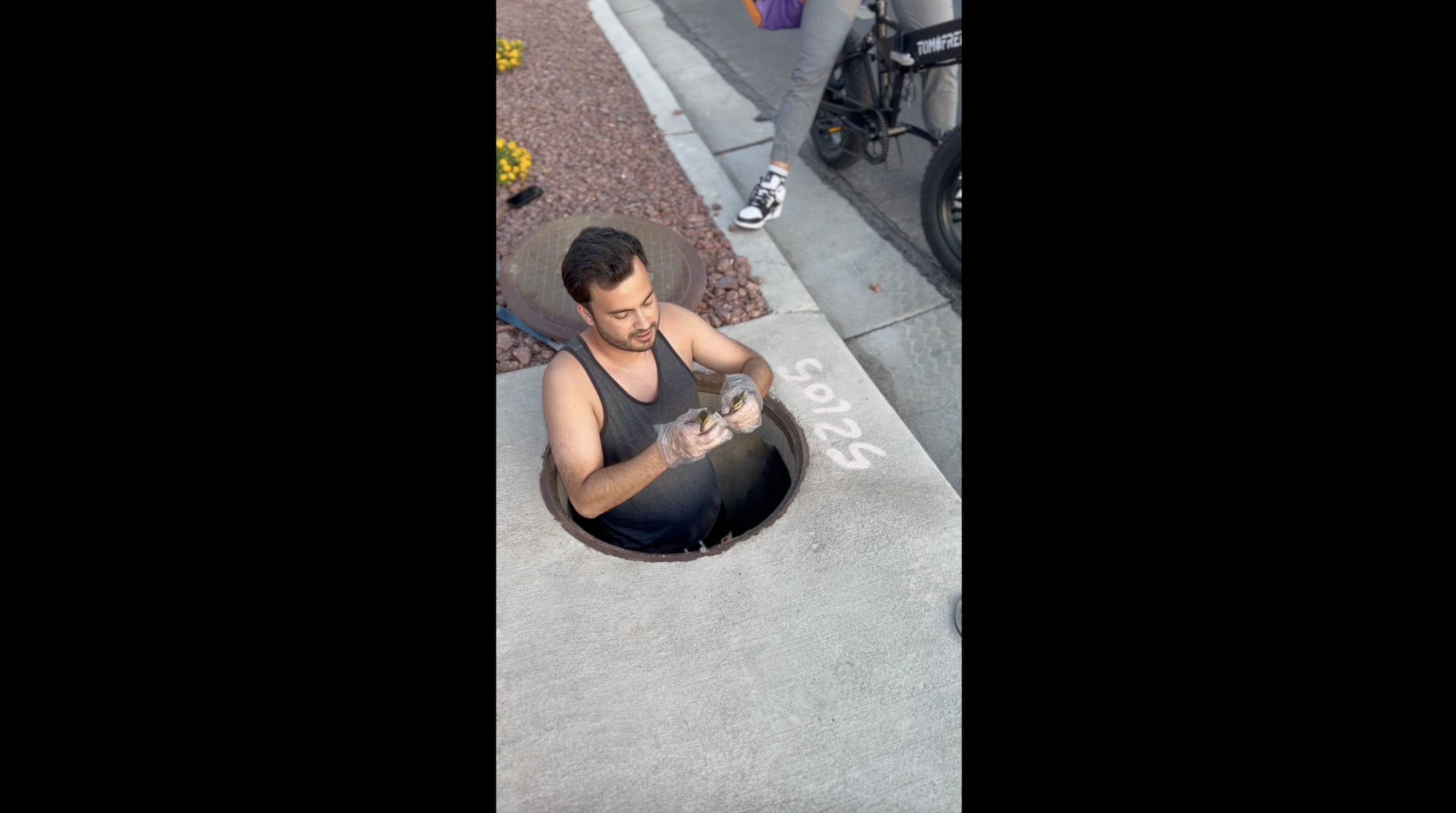 Ducklings rescued from Summerlin storm drain