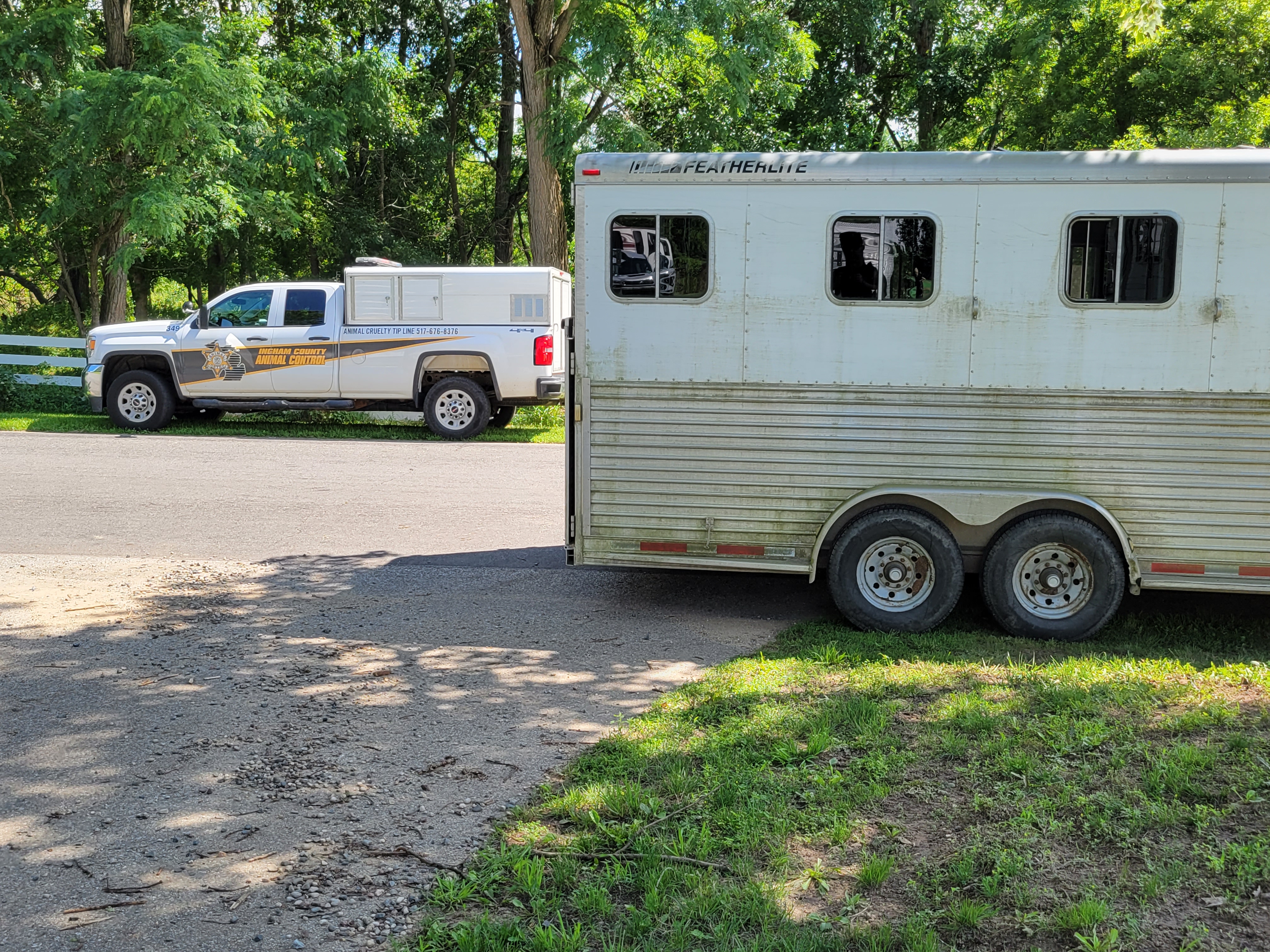Ingham County Animal Control.jpg