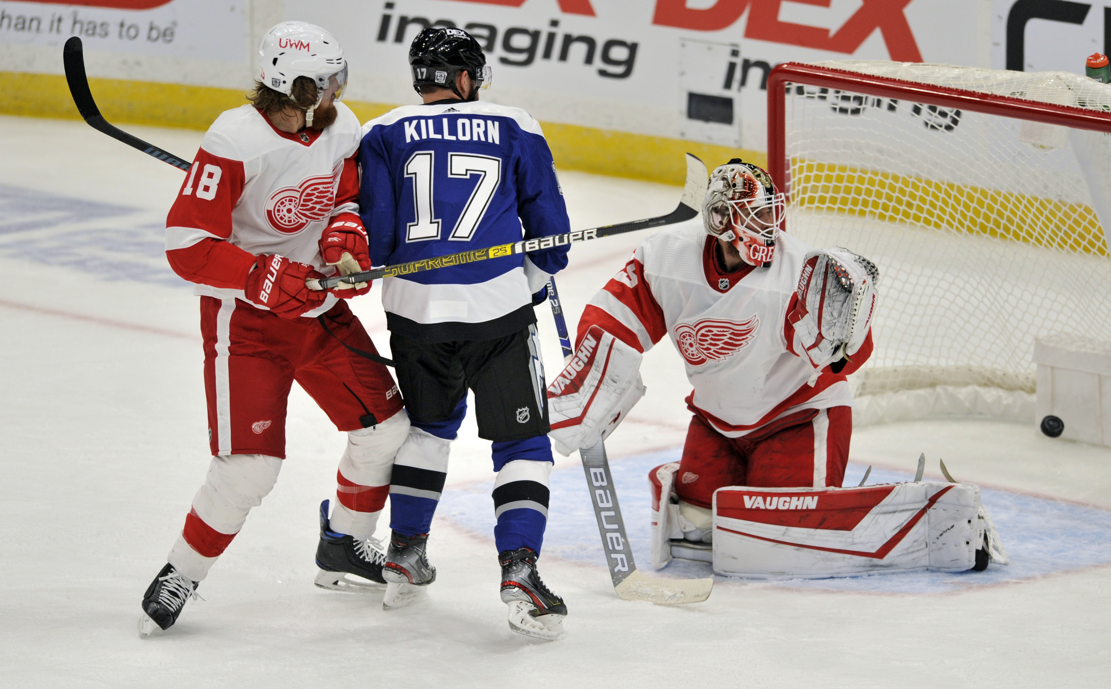 Red Wings Lightning Hockey
