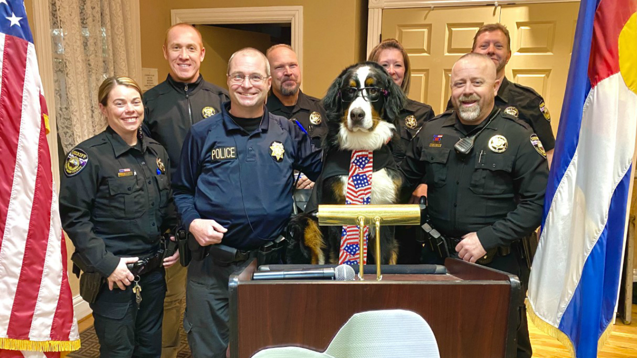 Parker the Snow Dog Honorary Mayor of Georgetown