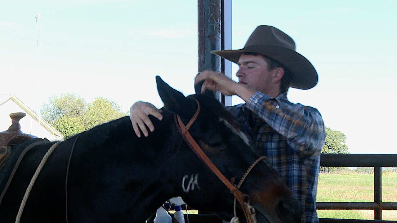 NFR