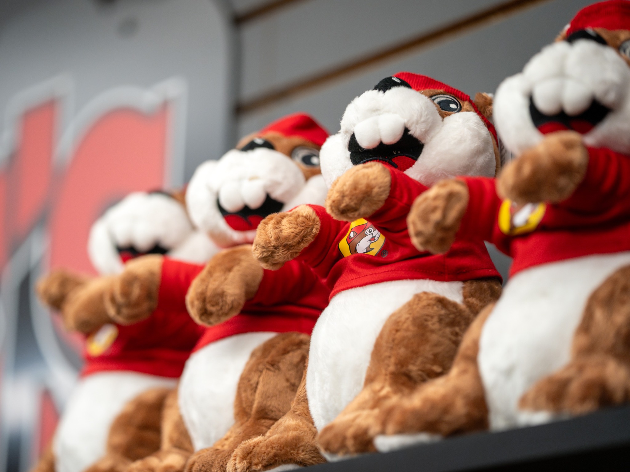 BUCEES TAMU.jpg