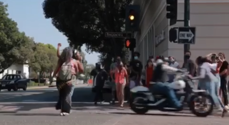 Protestor hit.jpg