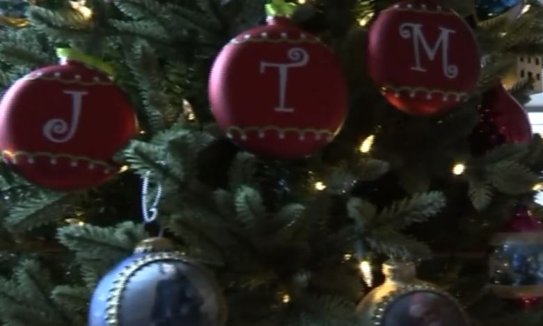 wptv christmas tree bugs.JPG