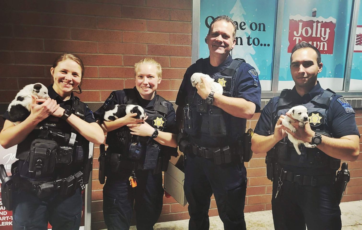 tpd-pups.jpeg