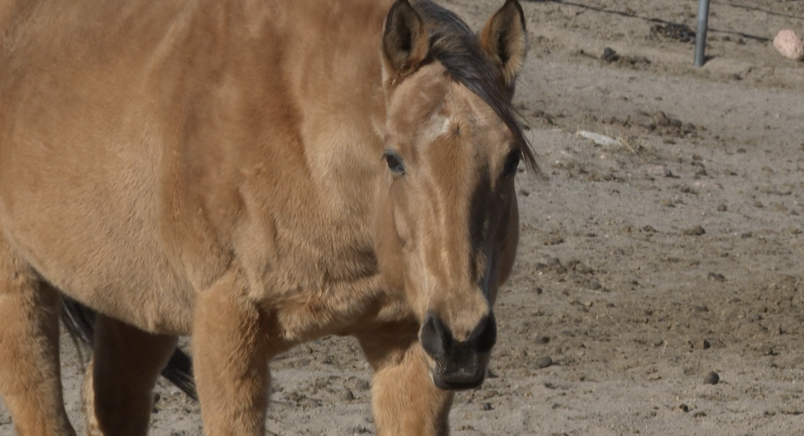 Screenshot 2025-02-08 at 2.37.07 PM.png