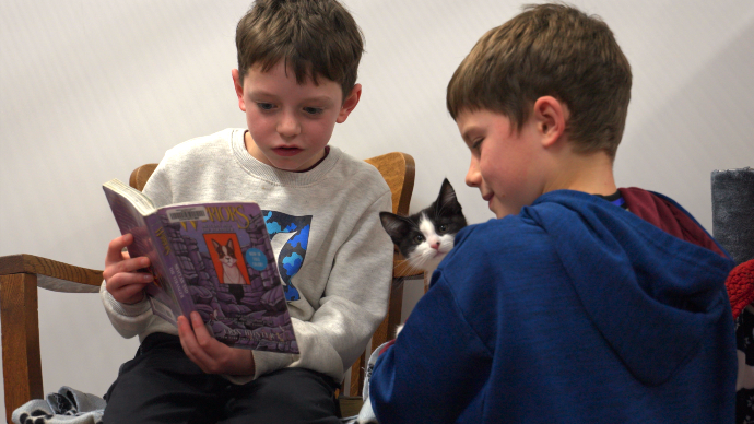 Read with Cats
