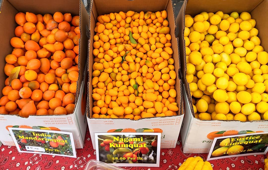 ELhaAaAW4AApKkw.jfif