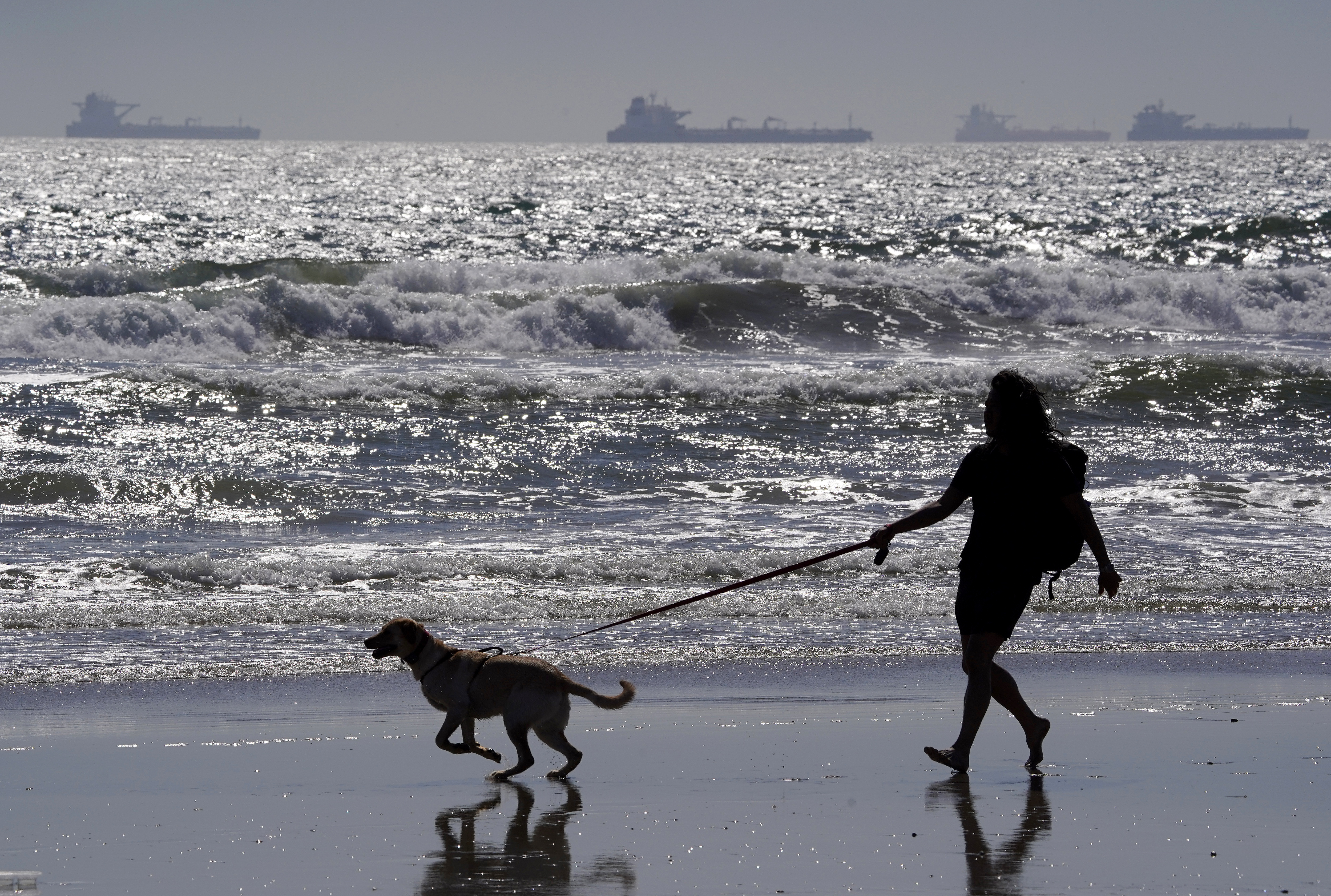 Virus Outbreak California
