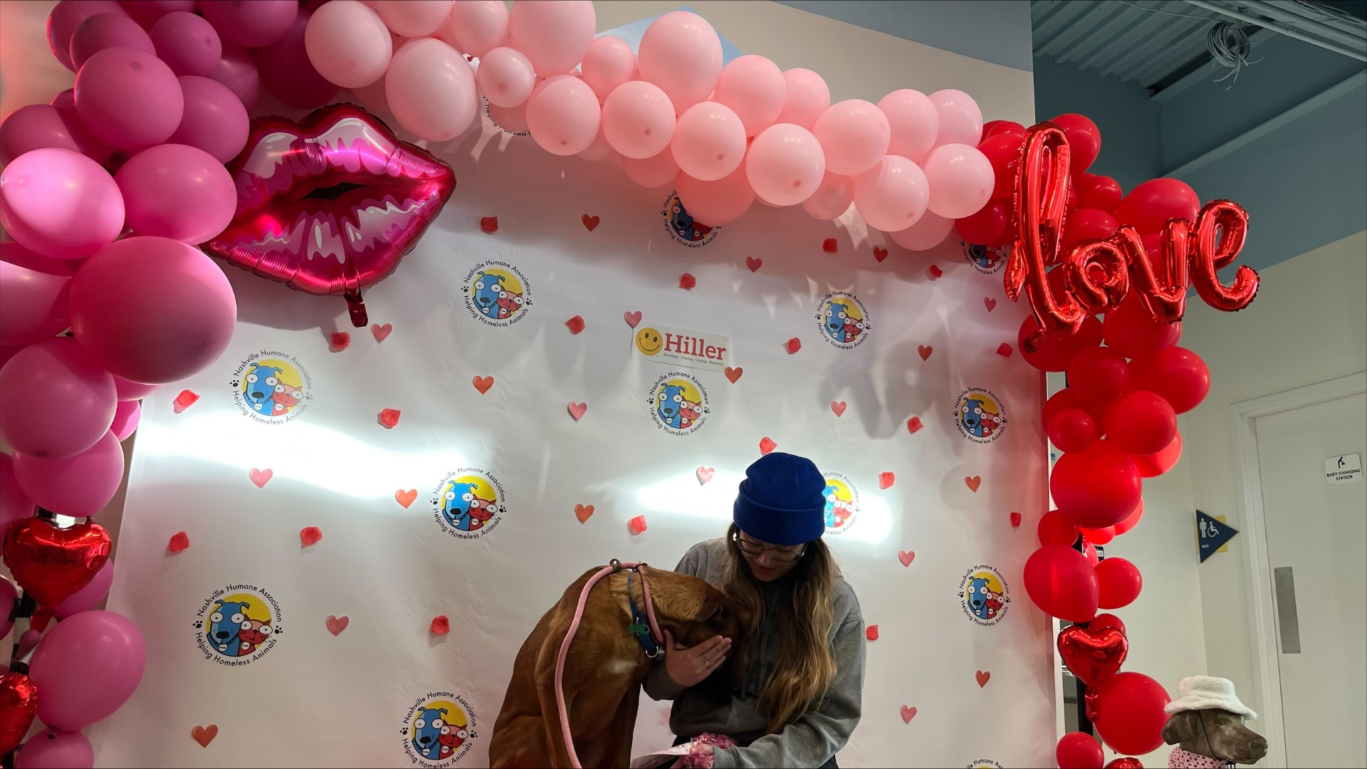 humane association valentines day.jpg