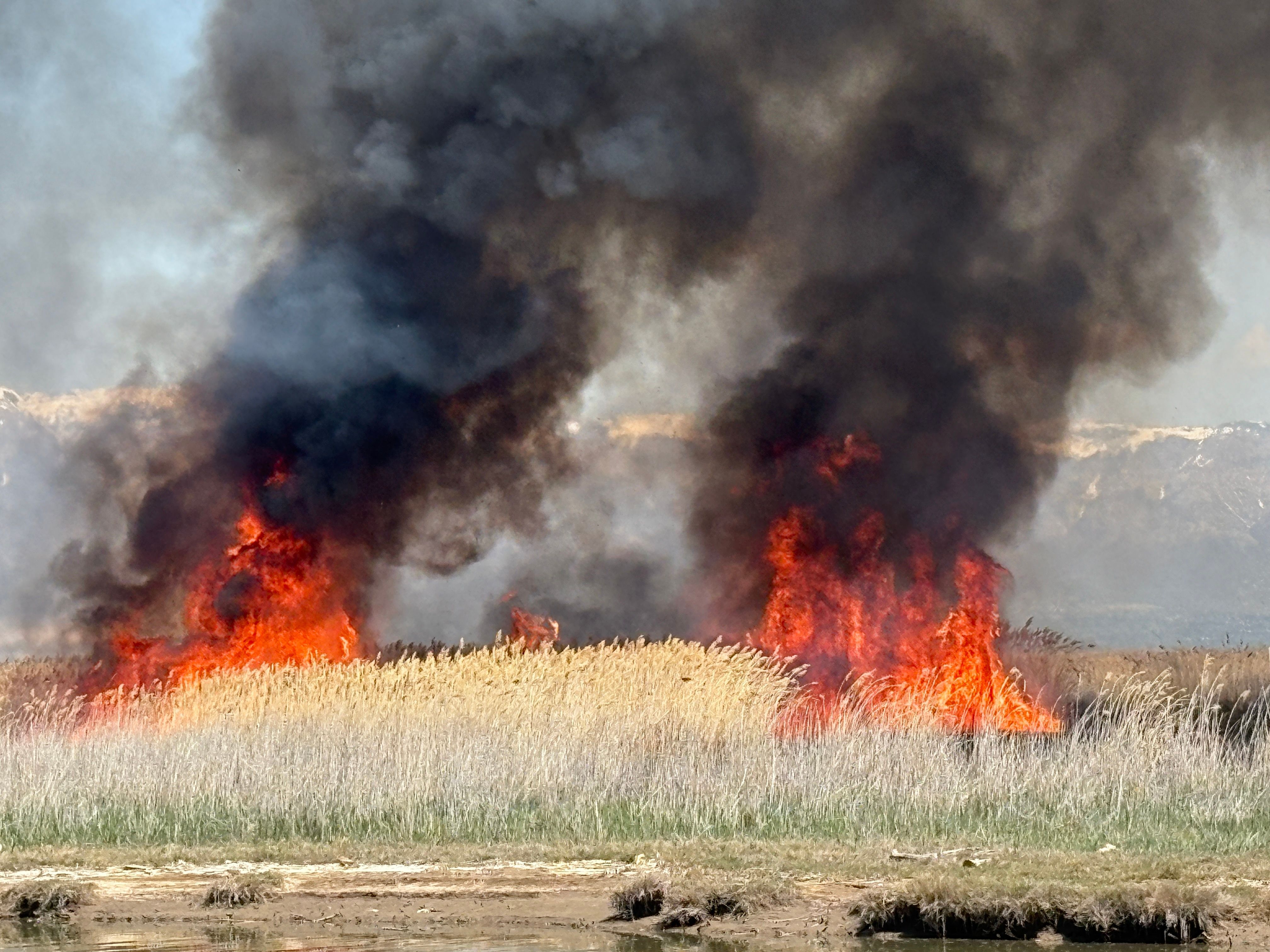 prescribed burn great salt lake.jpg