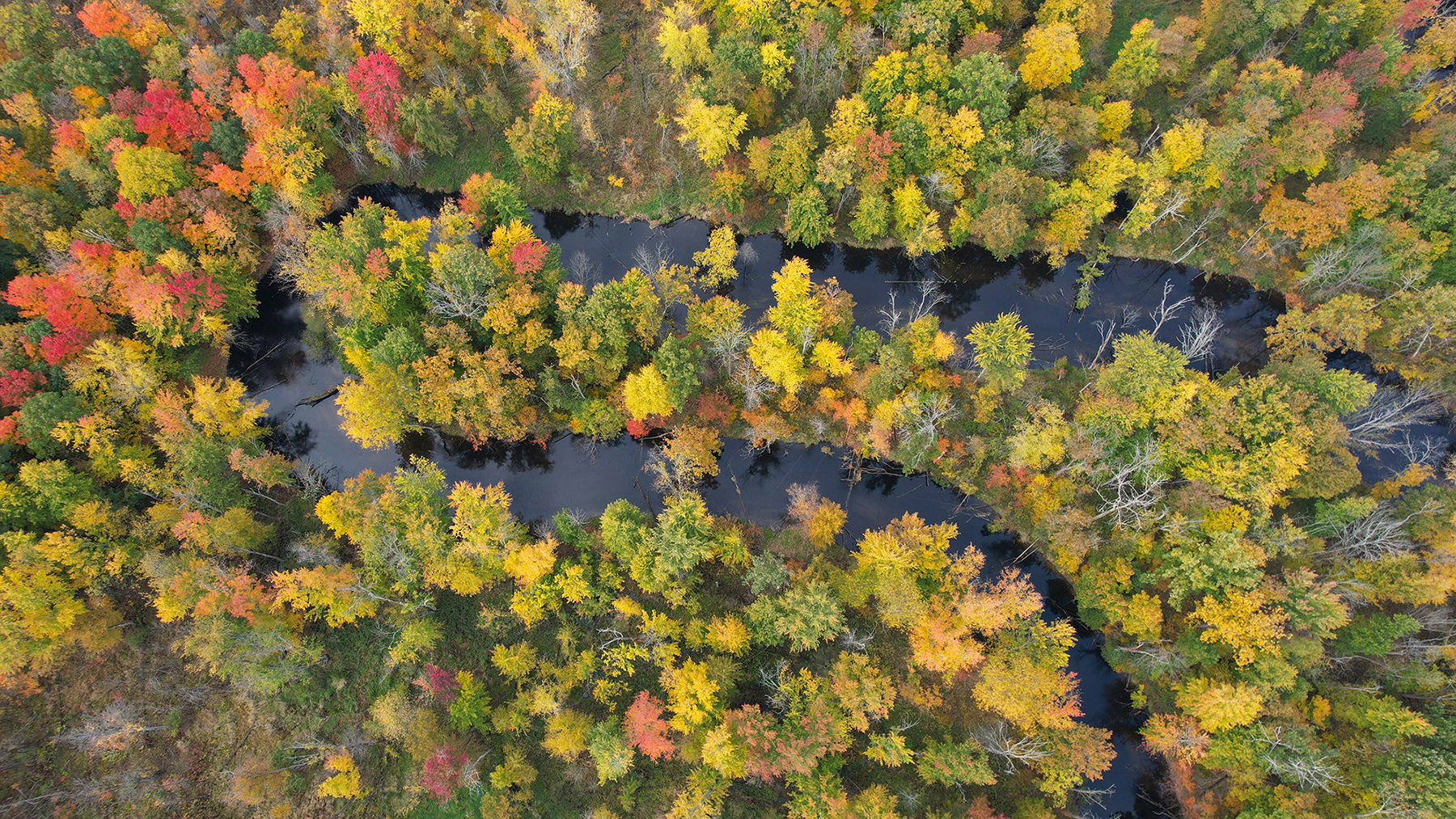 Paw Paw River State Game Area Rivers.jpg