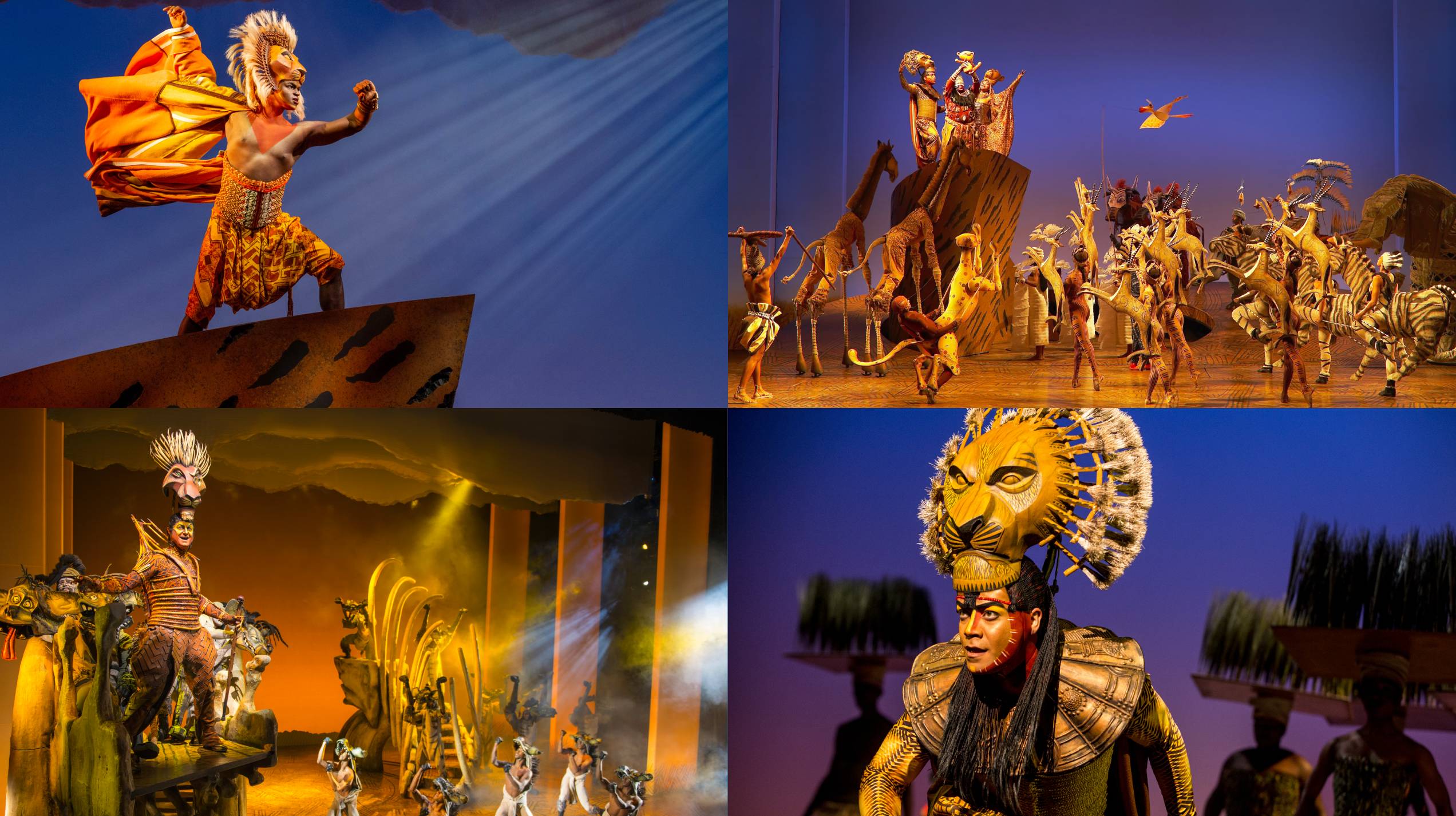 THE LION KING – Disney on Broadway