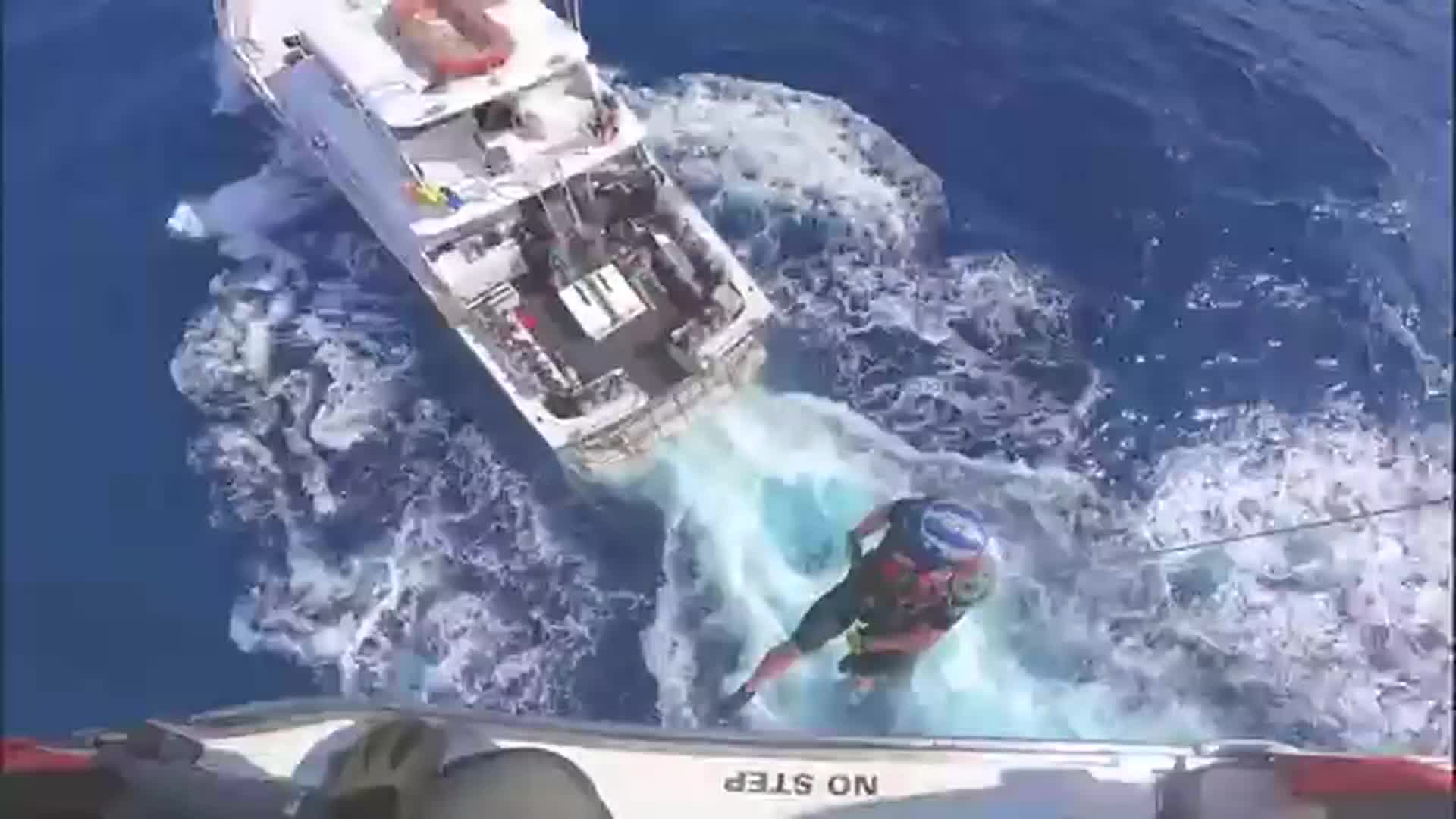 sharkbite.jpg