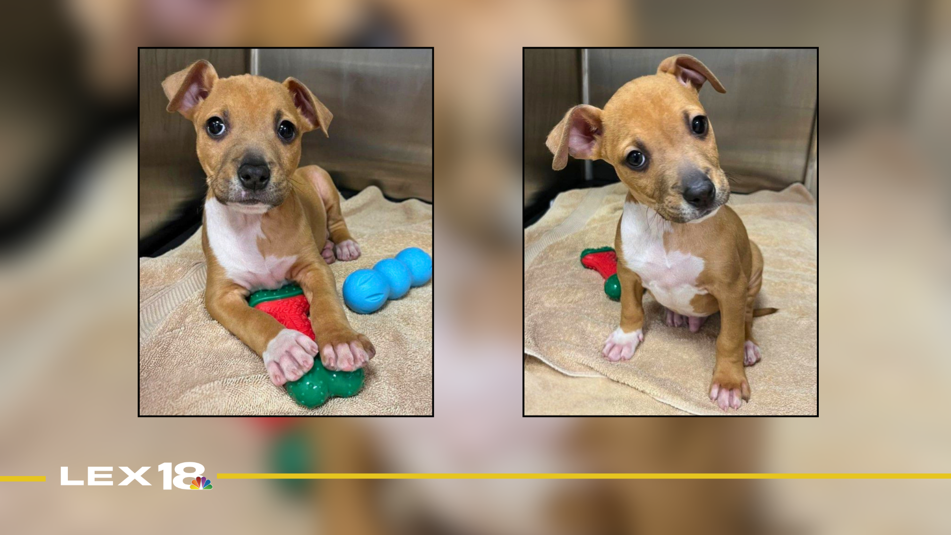 Featured Image Custom Edit (72).png