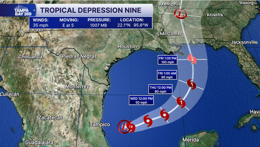 Tropical Depression Nite