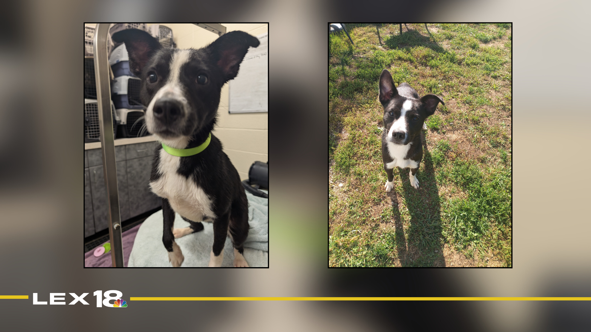 Featured Image Custom Edit (3).png